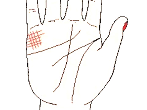 从手相看婚姻 手相看婚姻准吗