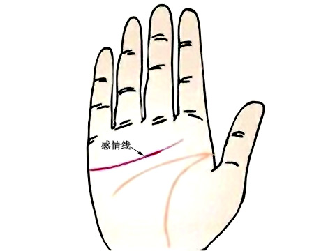 手相看结婚年龄 手相看多大年龄结婚