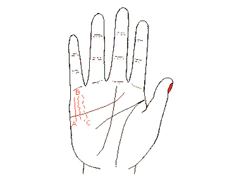 手相财运线 如何从手相看财运