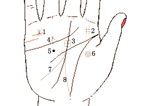 手相财运线 如何从手相看财运
