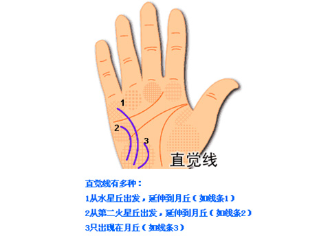 有偏财运的手相图解