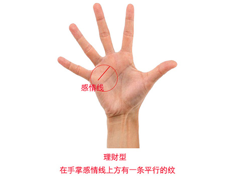 有偏财运的手相图解