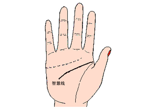 有偏财运的手相图解
